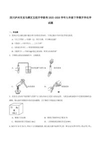 2025-2026学年四川省泸州市龙马潭区五校九年级下学期开学考试化学试卷(含答案)