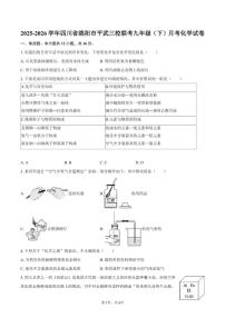 2025-2026学年四川省绵阳市平武三校联考九年级（下）月考化学试卷（含答案）