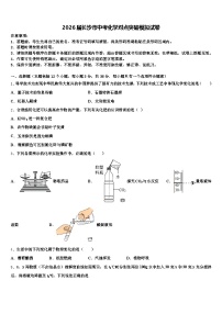 2026届长沙市中考化学对点突破模拟试卷（含答案解析）