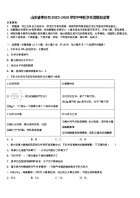 山东省枣庄市2025-2026学年中考化学全真模拟试卷（含答案解析）