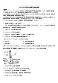 三沙市2026年中考化学押题试卷（含答案解析）