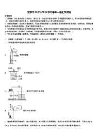 安康市2025-2026学年中考一模化学试题（含答案解析）