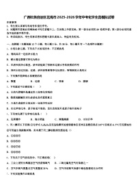 广西壮族自治区北海市2025-2026学年中考化学全真模拟试卷（含答案解析）