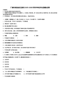 广西壮族自治区北海市2025-2026学年中考化学全真模拟试卷（含答案解析）