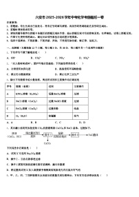 六安市2025-2026学年中考化学考前最后一卷（含答案解析）