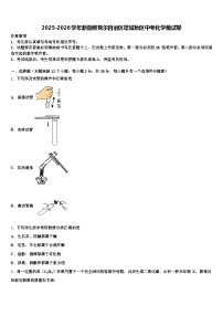 2025-2026学年新疆维吾尔自治区塔城地区中考化学模试卷（含答案解析）