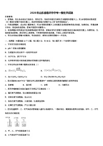 2026年山东省临沂市中考一模化学试题（含答案解析）