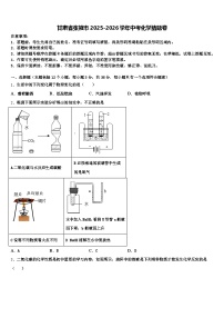 甘肃省张掖市2025-2026学年中考化学猜题卷（含答案解析）