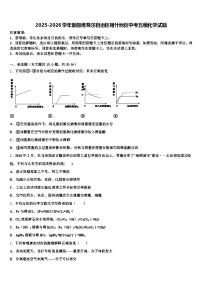 2025-2026学年新疆维吾尔自治区喀什地区中考五模化学试题（含答案解析）