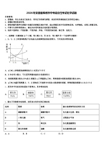 2026年安徽省滁州市中考适应性考试化学试题（含答案解析）