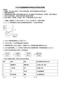 2026年安徽省滁州市中考适应性考试化学试题（含答案解析）