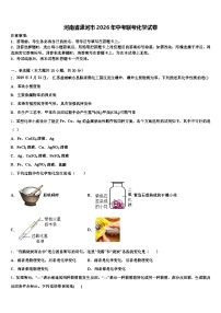河南省漯河市2026年中考联考化学试卷（含答案解析）