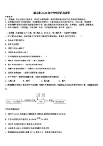 重庆市2026年中考化学仿真试卷（含答案解析）