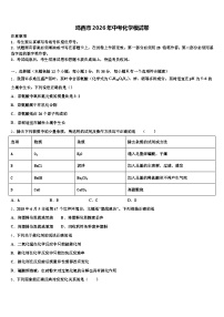 鸡西市2026年中考化学模试卷（含答案解析）