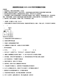新疆维吾尔自治区2025-2026学年中考四模化学试题（含答案解析）