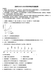 吉林市2025-2026学年中考化学五模试卷（含答案解析）