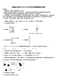 贵州省六盘水市2025-2026学年中考试题猜想化学试卷（含答案解析）