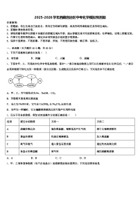 2025-2026学年西藏自治区中考化学模拟预测题（含答案解析）