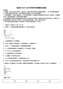 新余市2025-2026学年中考冲刺卷化学试题（含答案解析）