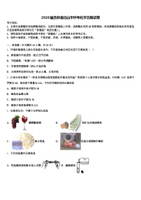 2026届吉林省白山市中考化学五模试卷（含答案解析）