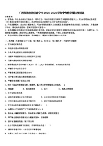 广西壮族自治区南宁市2025-2026学年中考化学模拟预测题（含答案解析）