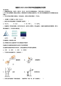 铜陵市2025-2026学年中考试题猜想化学试卷（含答案解析）