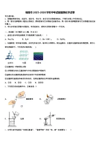 铜陵市2025-2026学年中考试题猜想化学试卷（含答案解析）