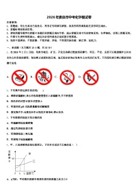 2026年娄底市中考化学模试卷（含答案解析）