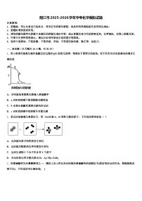 阳江市2025-2026学年中考化学模拟试题（含答案解析）