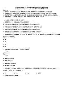 长治市2025-2026学年中考化学适应性模拟试题（含答案解析）