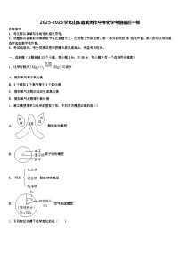 2025-2026学年山东省滨州市中考化学考前最后一卷（含答案解析）