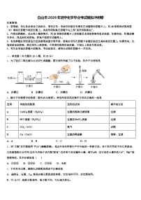 白山市2026年初中化学毕业考试模拟冲刺卷（含答案解析）