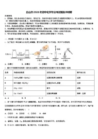 白山市2026年初中化学毕业考试模拟冲刺卷（含答案解析）