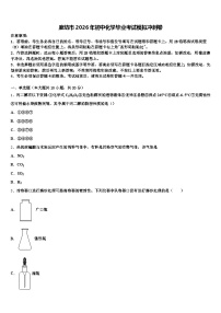 廊坊市2026年初中化学毕业考试模拟冲刺卷（含答案解析）