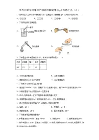 中考化学一轮复习专项巩固练习 溶液的酸碱性与pH专练汇总（八）（含答案解析）