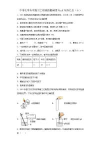 中考化学一轮复习专项巩固练习 溶液的酸碱性与pH专练汇总(十)(含答案解析)