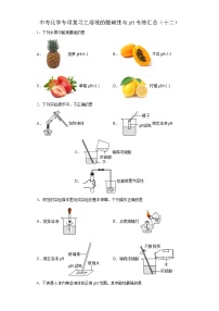 中考化学一轮复习专项巩固练习 溶液的酸碱性与pH专练汇总（十二）（含答案解析）
