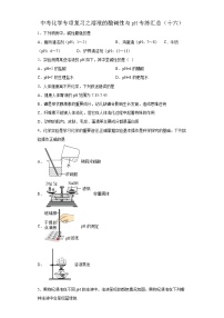 中考化学一轮复习专项巩固练习 溶液的酸碱性与pH专练汇总（十六）（含答案解析）