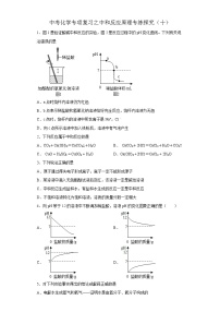 中考化学一轮复习专项巩固练习 中和反应原理专练探究（十）（含答案解析）