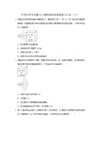 中考化学一轮复习专项巩固练习 微粒结构示意图练习汇总（三）（含答案解析）