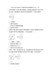 中考化学一轮复习专项巩固练习 微粒结构示意图练习汇总（五）（含答案解析）