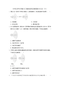 中考化学一轮复习专项巩固练习 微粒结构示意图练习汇总（六）（含答案解析）