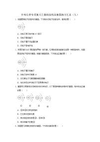 中考化学一轮复习专项巩固练习 微粒结构示意图练习汇总（九）（含答案解析）