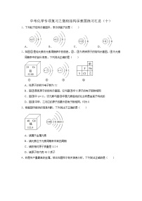 中考化学一轮复习专项巩固练习 微粒结构示意图练习汇总（十）（含答案解析）