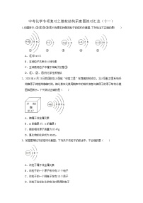中考化学一轮复习专项巩固练习 微粒结构示意图练习汇总（十一）（含答案解析）