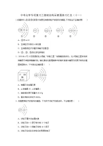 中考化学一轮复习专项巩固练习 微粒结构示意图练习汇总（十一）（含答案解析）