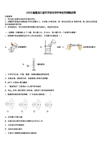 2026届黑龙江省齐齐哈尔市中考化学四模试卷（含答案解析）