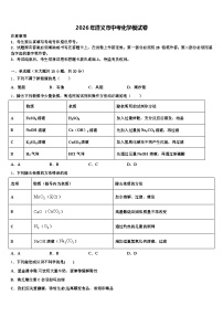 2026年遵义市中考化学模试卷（含答案解析）