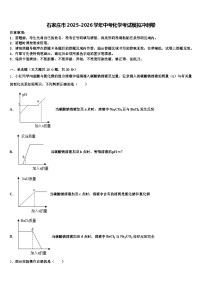 石家庄市2025-2026学年中考化学考试模拟冲刺卷（含答案解析）