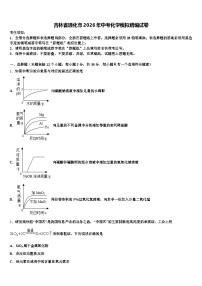 吉林省通化市2026年中考化学模拟精编试卷（含答案解析）